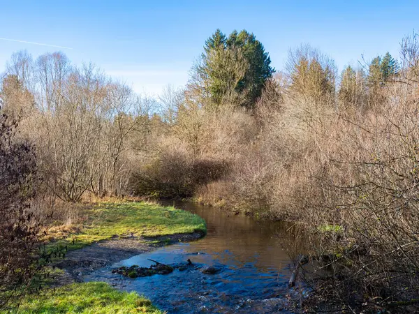 Sonbaharın sonlarında güzel bir günde genç bir ormanın içinden geçen güzel bir nehir.. 
