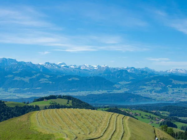 スイス チューリッヒの地域で美しい景色 チューリッヒ湖と山々に向かって最近切断された牧草地の上のパナマ — ストック写真