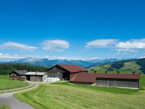 Región Alrededor Zurich Suiza Tiene Una Agricultura Intensiva Situación Con — Foto de Stock