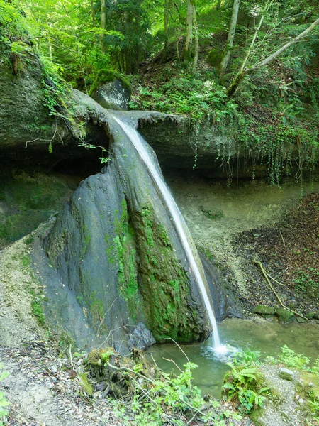 Helyzet Zürichi Hegyekben Svájcban Egy Sziklafal Egy Gyönyörű Vízeséssel Erdő — Stock Fotó