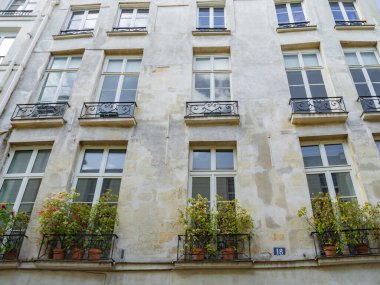 Fransa, Paris 'teki Saint-Germain-de-Pres bölgesinde pencere ve bitkilerle dolu güzel tarihi bir cephe.