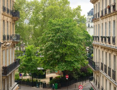 Fransa 'nın Paris kenti bir sürü yeşil alan sunuyor. Doğu Paris, Fransa 'daki Montholon Meydanı' nın yukarısında tarihi konut blokları arasında uzun ağaçların göründüğü yerde durum.