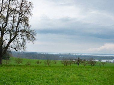 The city of Romanshorn, Switzerland, is situated directly at Lake Constance. View from green hills toowards the town and lake. clipart