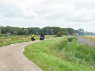 Friesland, Hollanda 'da Kuzey Denizi Bisiklet Yolları kısmen kıyı boyunca ve iç kesimlere uzanır. Üç bisikletçi tarlalardan geçiyor..
