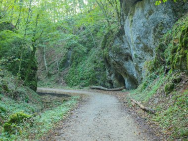 Almanya 'nın Schwaebische Alb bölgesindeki bir orman yolu orman tepeleri arasındaki küçük bir vadiye çıkıyor..