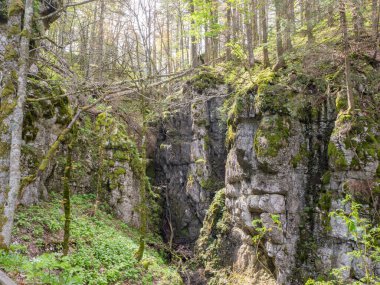 Combe Grede 'nin vahşi arazisinden İsviçre' nin Chasseral Dağı 'na doğru maceralı bir yürüyüş..