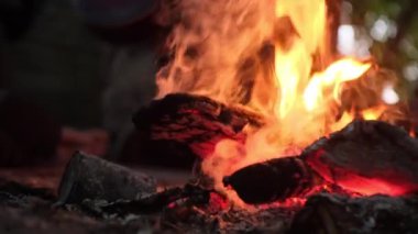 Ormanda kamp ateşi yakarak kamp ateşi yakacağız.