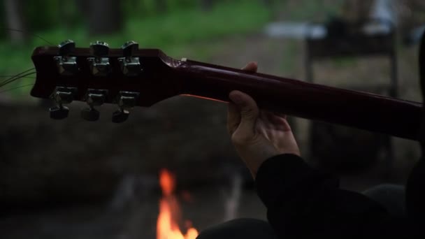 暖炉と燃えさかる炎を背景にアコースティックギターを演奏する — ストック動画