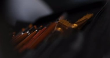 Close-up shot of paintbrush kit in case