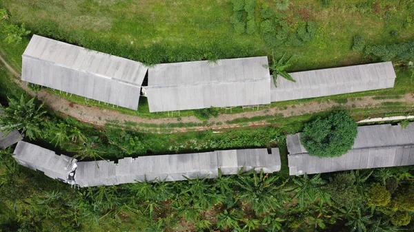 Yukarıdan keçi ağılının görüntüsünün drone fotoğrafı. Etrafı ağaçlarla çevrili.