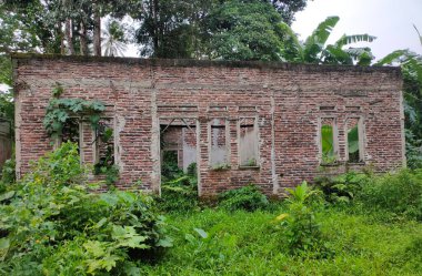Boş bir ev, kullanılmayan kırmızı duvarlar, kullanılmayan ve yeşil yabani bitkilerle çevrili. Endonezya 'da öğleden sonra