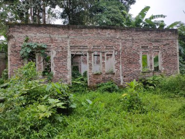 Boş bir ev, kullanılmayan kırmızı duvarlar, kullanılmayan ve yeşil yabani bitkilerle çevrili. Endonezya 'da öğleden sonra