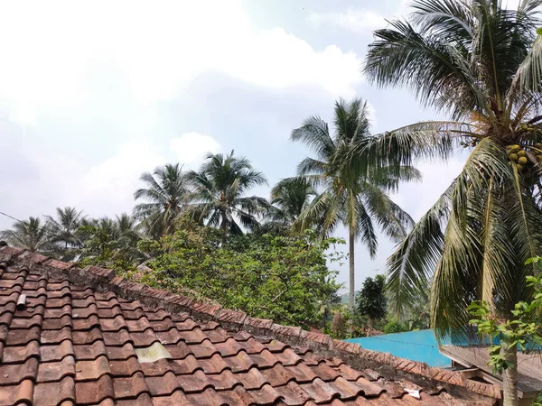Widok Wieś Jej Domów Wiejskich Kilka Drzew Kokosowych Wokół Domu — Zdjęcie stockowe