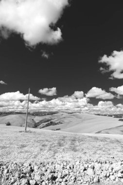 Yaz günündeki tepe manzarası. Panoramik görünüm siyah beyaz