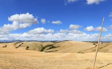 Tarımsal alanlar, ekili araziler, arka planda mavi gökyüzü.