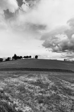 Kırsal kesimde ilkbahar sabahı, tarlalar ve bulutlu gökyüzü 