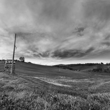 Siyah ve beyaz doğal manzara, kampanya alanları ve bulutlu gökyüzü
