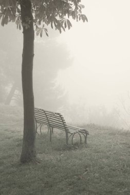 Sonbaharda puslu bir park, arka planda bank ve ağaç