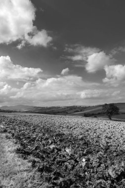 Eylül 'de siyah beyaz bir manzara, tarlalar sürüldü ve gökyüzü bulutlarla kaplandı.