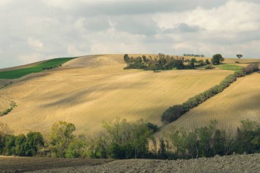 Eylül ayının doğal manzarası, tarlalar ve bulutlu gökyüzü.