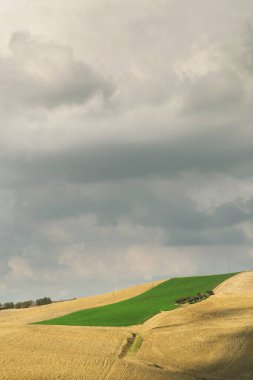 Eylül ayının doğal manzarası, tarlalar ve bulutlu gökyüzü.