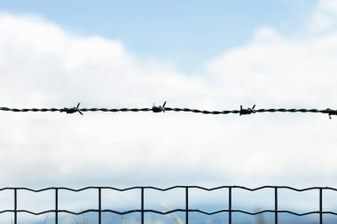 Dikenli tellerle, mavi gökyüzü arka planda