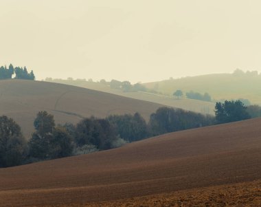 Kırsal sonbahar manzarası, sürülmüş tarlalar, doğal arka plan