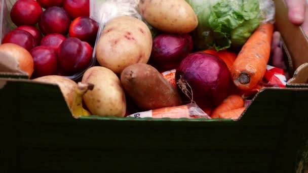 Tenendo Una Scatola Verdure Fresche Frutta Una Scatola Zoom Slow — Video Stock