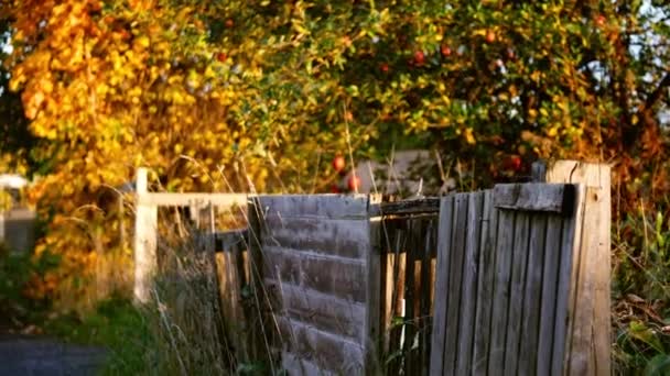 Rustikální Vratké Zahradní Plot Jabloněmi Pozadí Široký Zoom Shot Selektivní — Stock video