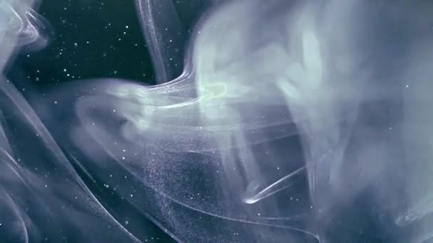 在黑暗背景下漂浮的烟雾和尘埃粒子抽象动画慢动作选择性聚焦 — 图库视频影像