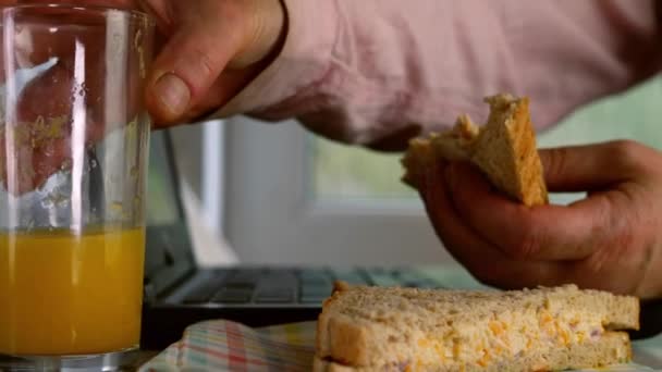 Femme Occupée Travaillant Sur Ordinateur Portable Mangeant Sandwich Zoom Moyen — Video