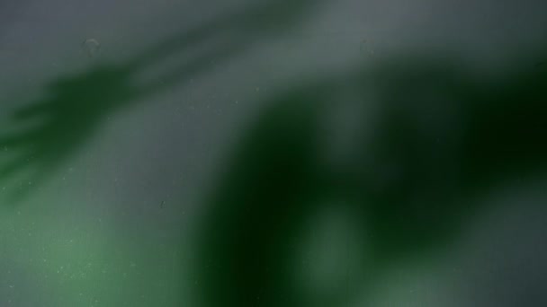 Σκούρος Σκελετός Σκιά Φάντασμα Εμφανίζεται Στο Παρασκήνιο Πυροβόλησε Επιλεκτική Εστίαση — Αρχείο Βίντεο