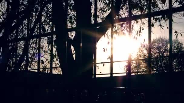 Metalowy Płot Otacza Park Zachodzie Słońca Dolly Slow Motion Selektywne — Wideo stockowe