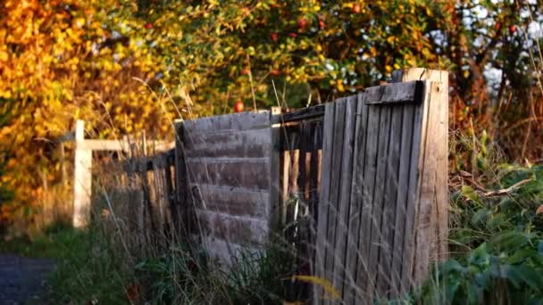Rustikální Vratký Zahradní Plot Jabloněmi Pozadí Široký Dolly Shot Selektivní — Stock video