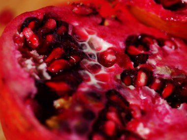 Nar kırmızısı tohum meyvesi makro çekim odağı kapat