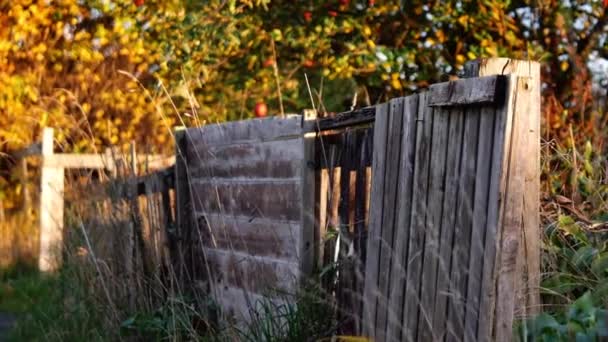Rustikální Vratký Zahradní Plot Jabloněmi Pozadí Široký Zoom Dolly Shot — Stock video
