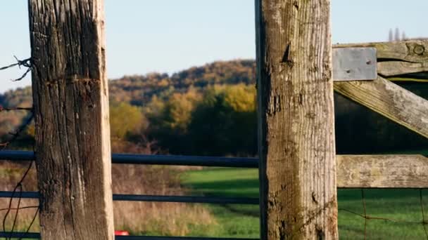 Rustikální Vratký Dřevěný Plot Zemědělci Pole Pozadí Široký Dolly Shot — Stock video