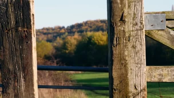 Rustikální Vratký Dřevěný Plot Zemědělci Pole Pozadí Střední Dolly Zoom — Stock video