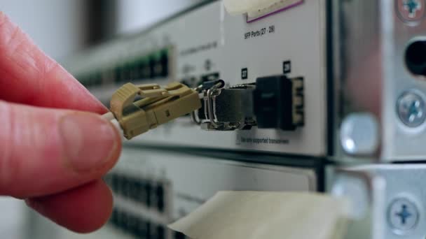 Сетевой Инженер Подключает Оптоволоконный Кабель Компьютерному Коммутатору — стоковое видео