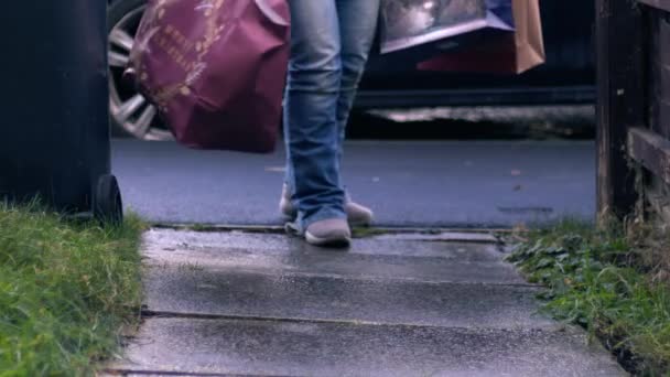 Γυναίκα Τσάντες Για Ψώνια Περπατά Στον Κήπο Μονοπάτι Μέσο Πλάνο — Αρχείο Βίντεο