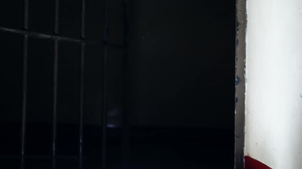 Язниці Дверні Смуги Камері Язниці Повільно Закриваються Темному Фоні Середній — стокове відео