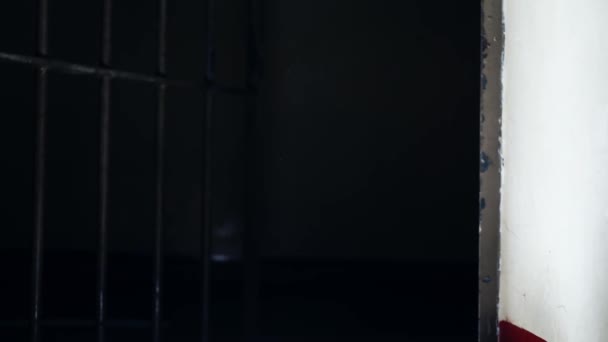 Язниці Дверні Смуги Камері Язниці Повільно Закриваються Темному Фоні Середнього — стокове відео