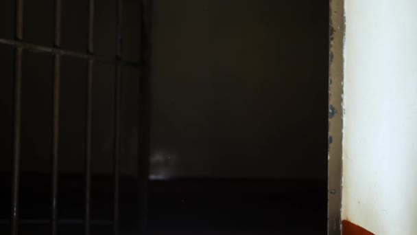 刑務所のドアバーで刑務所セルゆっくり閉じ暗い背景中ズームショット選択的フォーカス — ストック動画