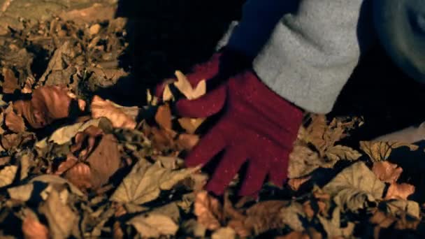 手遊びで乾燥した秋の葉中スローモーションズームショット選択的フォーカス — ストック動画