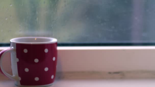 熱い飲み物で窓の上に雨の日クローズアップショット遅い動き選択的フォーカス — ストック動画