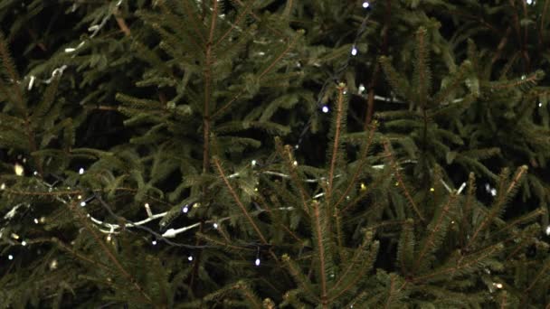 Χριστουγεννιάτικο Δέντρο Διακοσμημένο Φώτα Που Αναβοσβήνουν Μέτρια Πυροβόλησε Επιλεκτική Εστίαση — Αρχείο Βίντεο