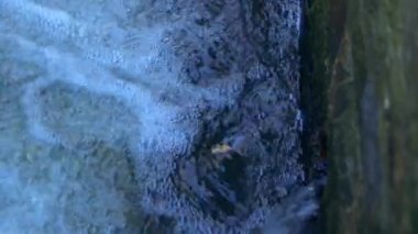 Kabaran su akışı 4k seçici odak noktası