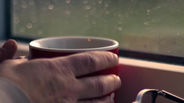 Woman Hot Drink Looks Out Window Rain Close Zoom Shot — Stockvideo