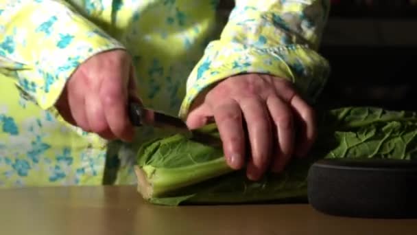 Woman Prepares Fresh Healthy Winter Vegetables Ingredients Medium Slow Motion — Video