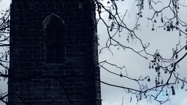旧哥特式教堂塔台在冬季中4K发射选择性焦距 — 图库视频影像